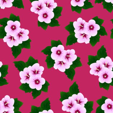 Hibiscus syriacus - Rose of Sharon pembe bir arka plan üzerinde. Vektör çizim.