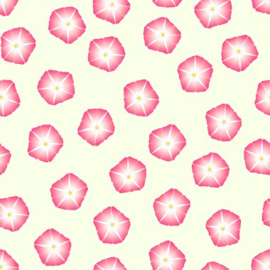 Pembe Morning Glory çiçek bej Fildişi arka plan üzerinde. Vektör çizim.
