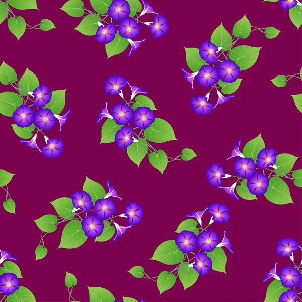 Purple Morning Glory Violet Background Inglés Ilustración Vectorial — Archivo Imágenes Vectoriales