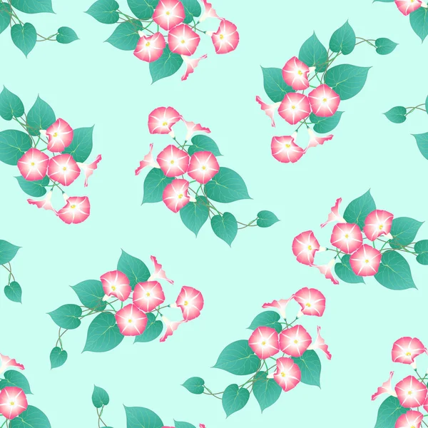 Pink Morning Glory Green Mint Background Inglés Ilustración Vectorial — Vector de stock
