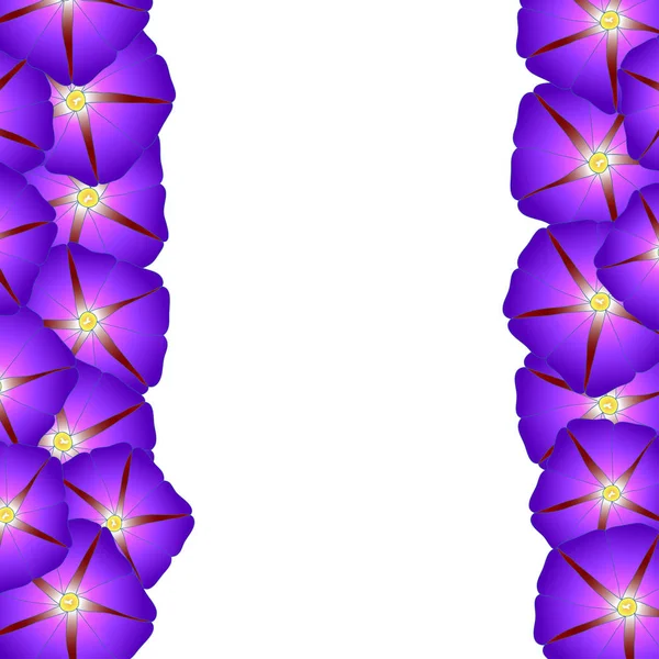 Purple Morning Glory Flower Border. Vector Illustration.