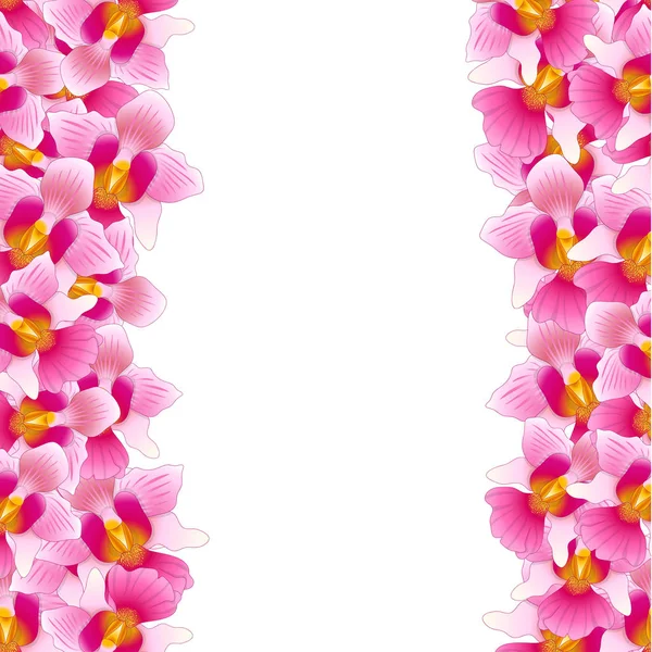 粉红色的联小姐若阿金 阿尔贝托 希萨诺兰花边框 新加坡国花 矢量插图 — 图库矢量图片