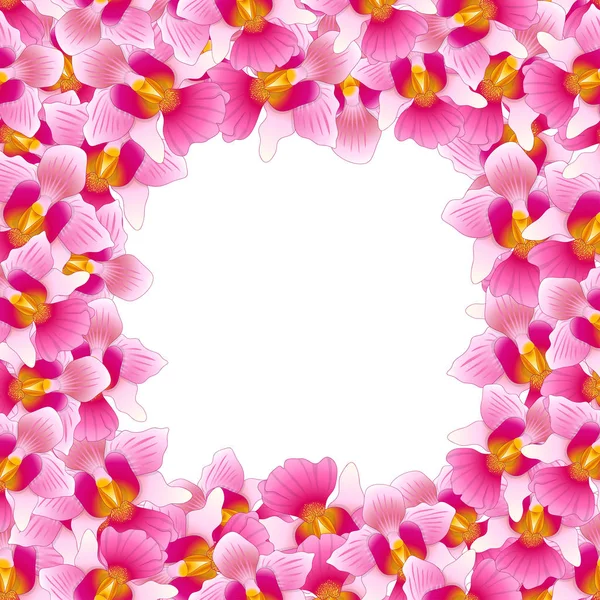 Rose Vanda Miss Joaquim Orchidée Frontière Fleur Nationale Singapour Illustration — Image vectorielle