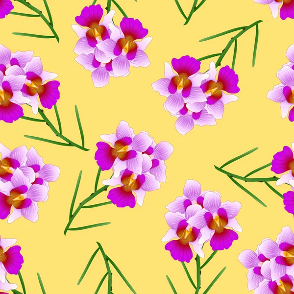 Purple Vanda Miss Joaquim Orchid Sobre Fondo Amarillo Flor Nacional — Vector de stock