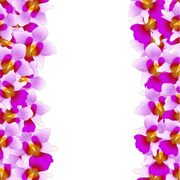 Fioletowy Vanda Miss Joaquim Orchid Granicy Kwiat Narodowy Singapur Ilustracja — Wektor stockowy