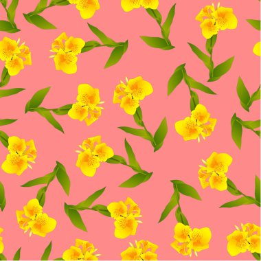Canna indica - Canna lily, pembe bir arka plan üzerinde Hint atış sarı. Vektör çizim.