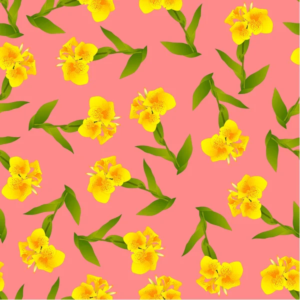 Yellow Canna Indica Canna Lily Indian Shot Pink Background Ilustración — Vector de stock
