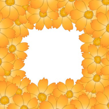 Turuncu sarı Cosmos çiçek sınır. Vektör çizim.