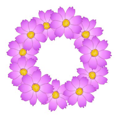Pembe Cosmos çiçek çelenk. Vektör çizim.