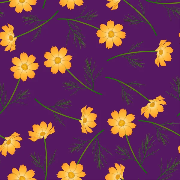Orange Yellow Cosmos Flower on Purple Background. Vector Illustration.