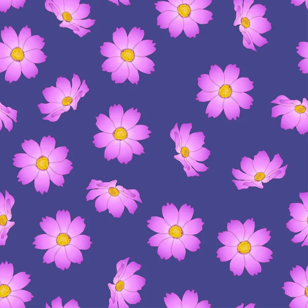 Pink Cosmos Flower on Purple Background. Vector Illustration.