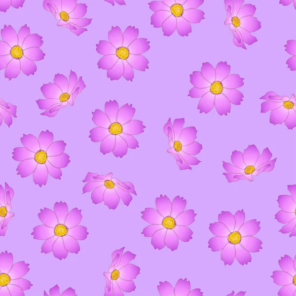 Rosa Kosmos Blume Auf Violettem Hintergrund Vektorillustration — Stockvektor