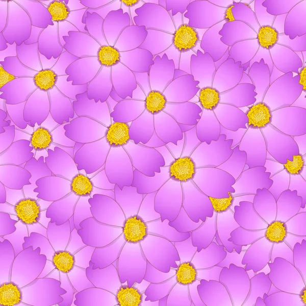 Růžový Cosmos Kvetou Bezešvé Pozadí Vektorové Ilustrace — Stockový vektor