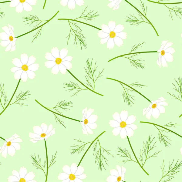 Weißer Kosmos Blume Auf Grünem Hintergrund Vektorillustration — Stockvektor