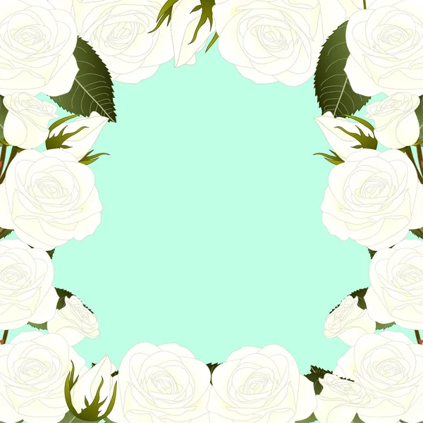 Weißer Rosenrand Rosa Isoliert Auf Grünem Minzgrund Valentinstag Vektorillustration — Stockvektor