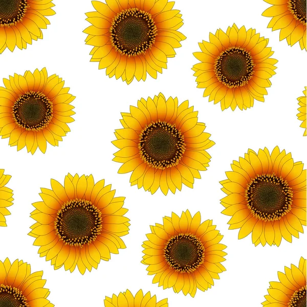 Orange Yellow Sunflower Seamless White Background Ilustrasi Vektor - Stok Vektor