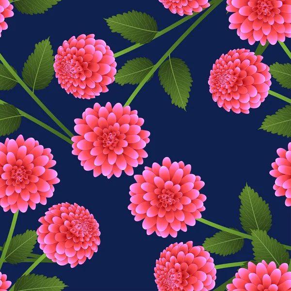 Lacivert zemin üzerine pembe Dahlia. Meksika'nın ulusal çiçeği. Vektör çizim.