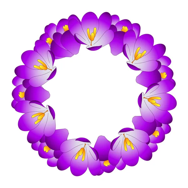 Purple Crocus Flower Wreath. Vector Illustration.