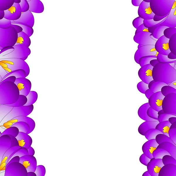 Purple Crocus Flower Border. Vector Illustration.