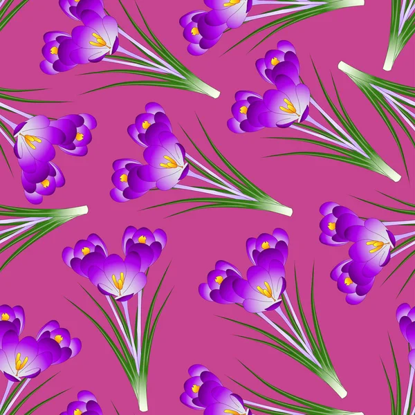 Lila Krokusblüte Auf Rosa Hintergrund Vektorillustration — Stockvektor
