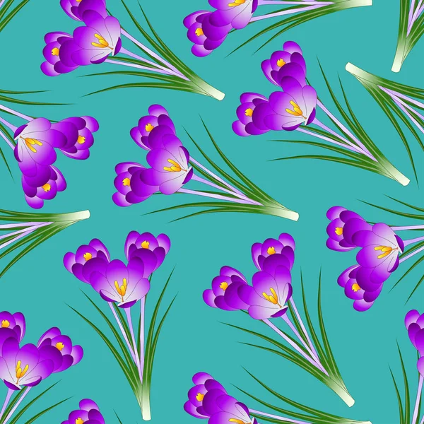 Lila Krokus Blomma Grön Teal Bakgrund Vektorillustration — Stock vektor