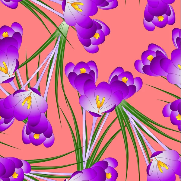 Paarse Crocus Bloem Oranje Rode Achtergrond Vectorillustratie — Stockvector