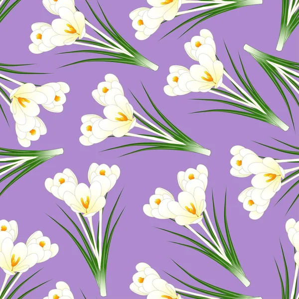 Weiße Krokusblüte Auf Hellviolettem Hintergrund Vektorillustration — Stockvektor