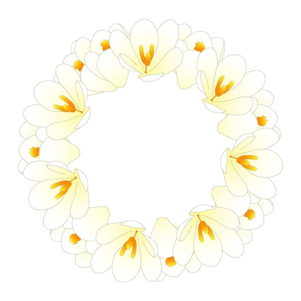 Couronne Fleurs Crocus Blanc Illustration Vectorielle — Image vectorielle