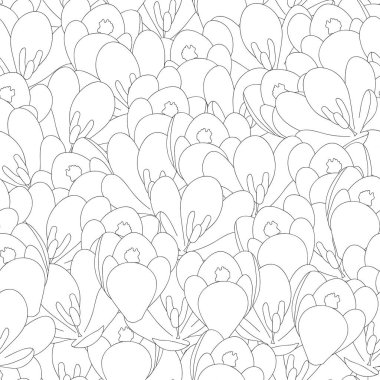 Beyaz çiğdem çiçek anahat kesintisiz arka plan. Vektör çizim.