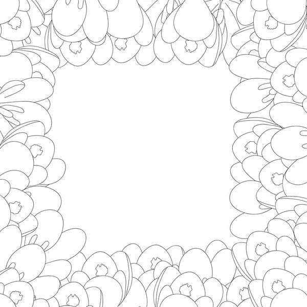 White Crocus Flower Outline Border. Vector Illustration.