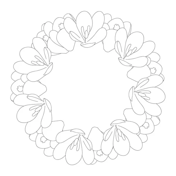 Tracé Couronne Fleurs Crocus Blanc Illustration Vectorielle — Image vectorielle