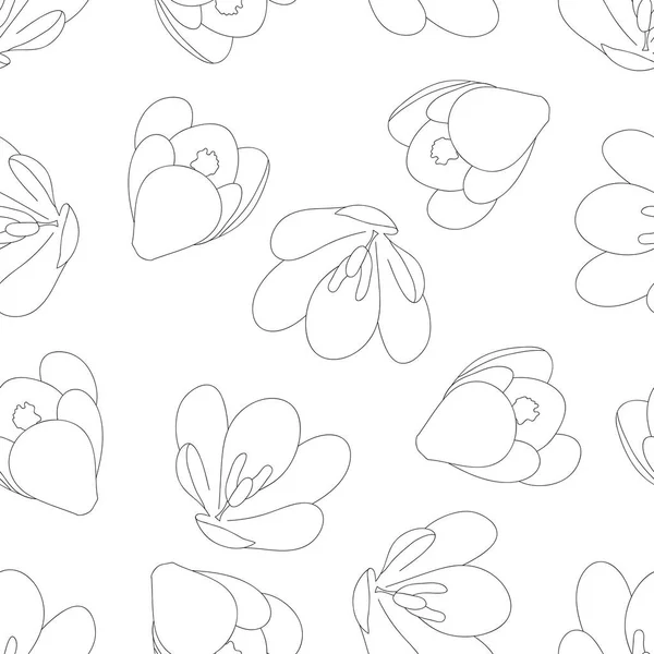 Weiße Krokusblüten Umrahmen Einen Nahtlosen Hintergrund Vektorillustration — Stockvektor
