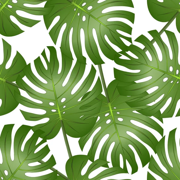 Philodendron Monstera Leaf Seamless isolated on White Background. Vector Illustration.