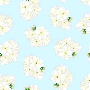 Jasminum sambac - ışık mavi arka plan üzerinde Arap Jasmine. Vektör çizim.