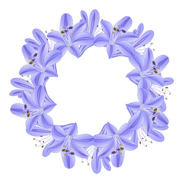 Niebieski Fioletowy Agapanthus Wieniec Ilustracja Wektorowa — Wektor stockowy