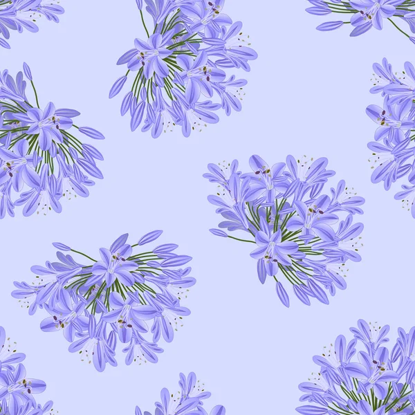 Blue Purple Agapanthus Light Purple Background Vector Illustration — Stock Vector