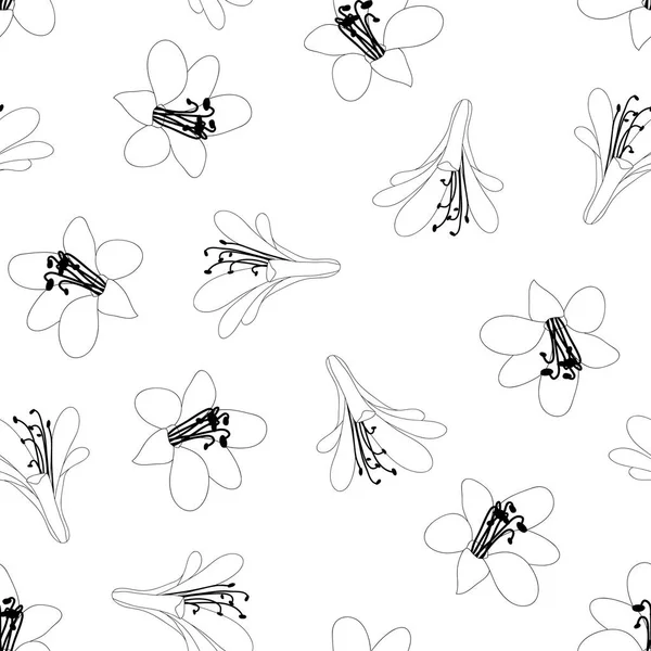 Contorno Flores Agapanthus Sin Costuras Sobre Fondo Blanco Ilustración Vectorial — Archivo Imágenes Vectoriales