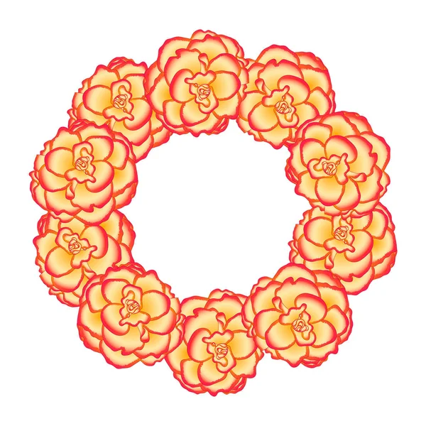 Begonia Flower Picotee Sunburst Wreath Vector Illustration — Stock Vector