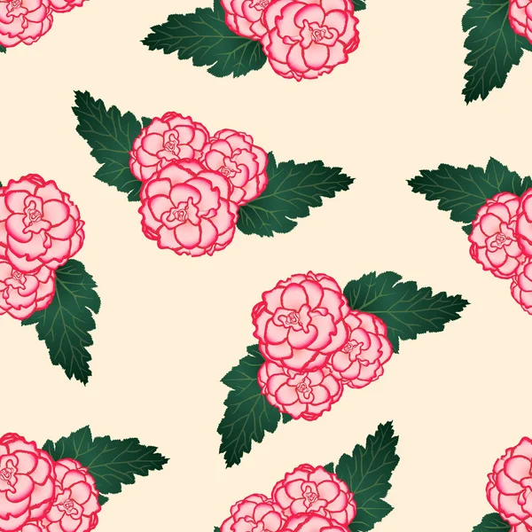 Rosa Begonia Blomma Picotee Första Kärlek Beige Ivory Bakgrund Vektorillustration — Stock vektor