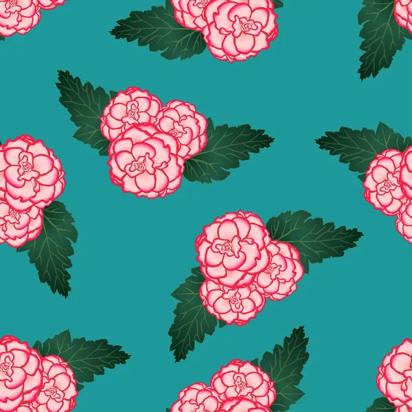 Rosa Begonienblüte Picotee Erste Liebe Auf Grünem Hintergrund Vektorillustration — Stockvektor