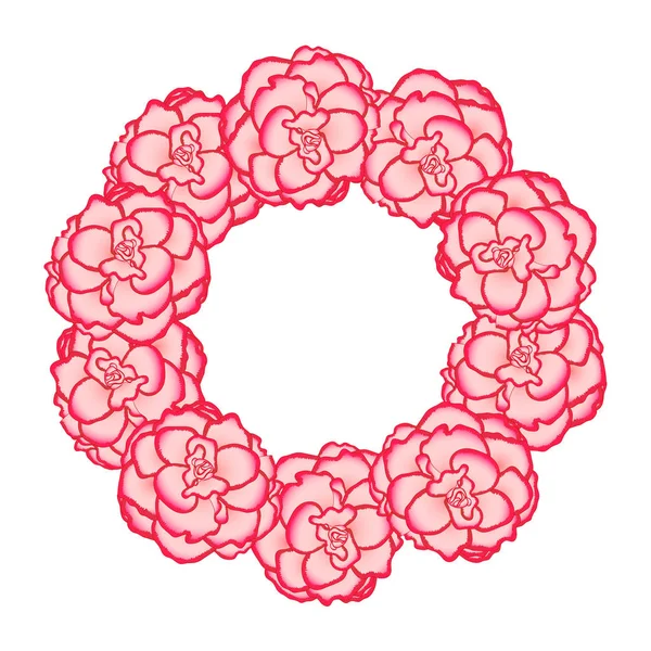 Kwiat Różowy Begonia Picotee Pierwszy Wieniec Miłości Ilustracja Wektorowa — Wektor stockowy