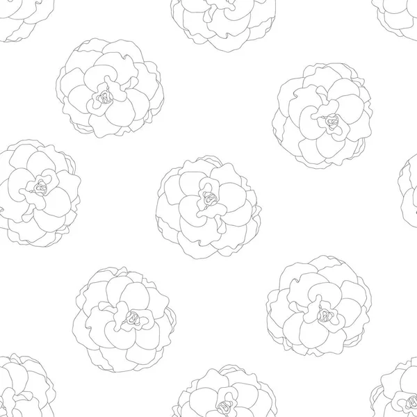 Begonia Květina Picotee Osnovy Bezešvé Pozadí Vektorové Ilustrace — Stockový vektor