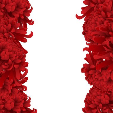 Kırmızı krizantem, Kiku Japon çiçek sınır. Vektör çizim.