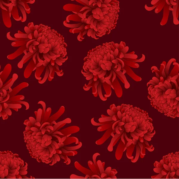 Crisântemo Vermelho Flor Japonesa Kiku Fundo Vermelho Ilustração Vetorial — Vetor de Stock