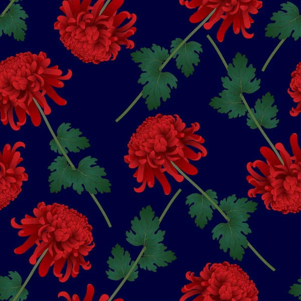 Crisantemo Rojo Kiku Flor Japonesa Sobre Fondo Azul Marino Ilustración — Archivo Imágenes Vectoriales