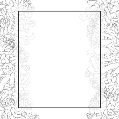 Krizantem anahat, Kiku Japon çiçek afiş kartı sınır. Vektör çizim.