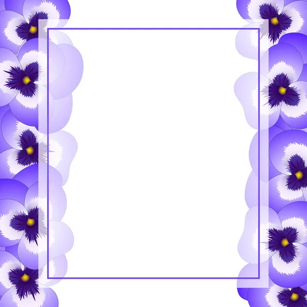 Граница Pansy Flower Banner Card Фиолетового Виолы Гарден Векторная Миграция — стоковый вектор