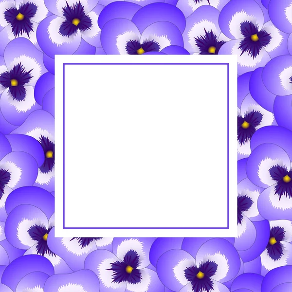 Violette Viola Garten Stiefmütterchen Blume Banner Karte Grenze Vektorillustration — Stockvektor