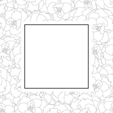 Begonia çiçek anahat, Picotee Afiş kartı sınır. Vektör çizim.