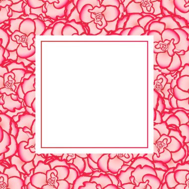 Pembe Begonya çiçek, Picotee ilk aşk Afiş kartı sınır. Vektör çizim.